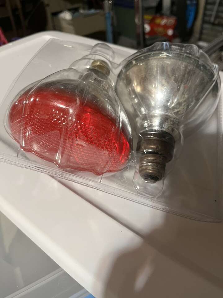 Classic Incandecent Colored Flood Light Bulbs