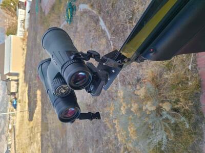 bino/scope mount