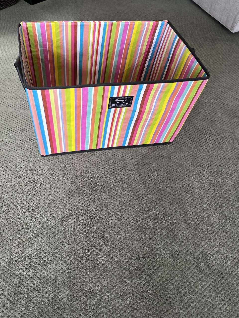 Scout collapsible storage bins set of 2