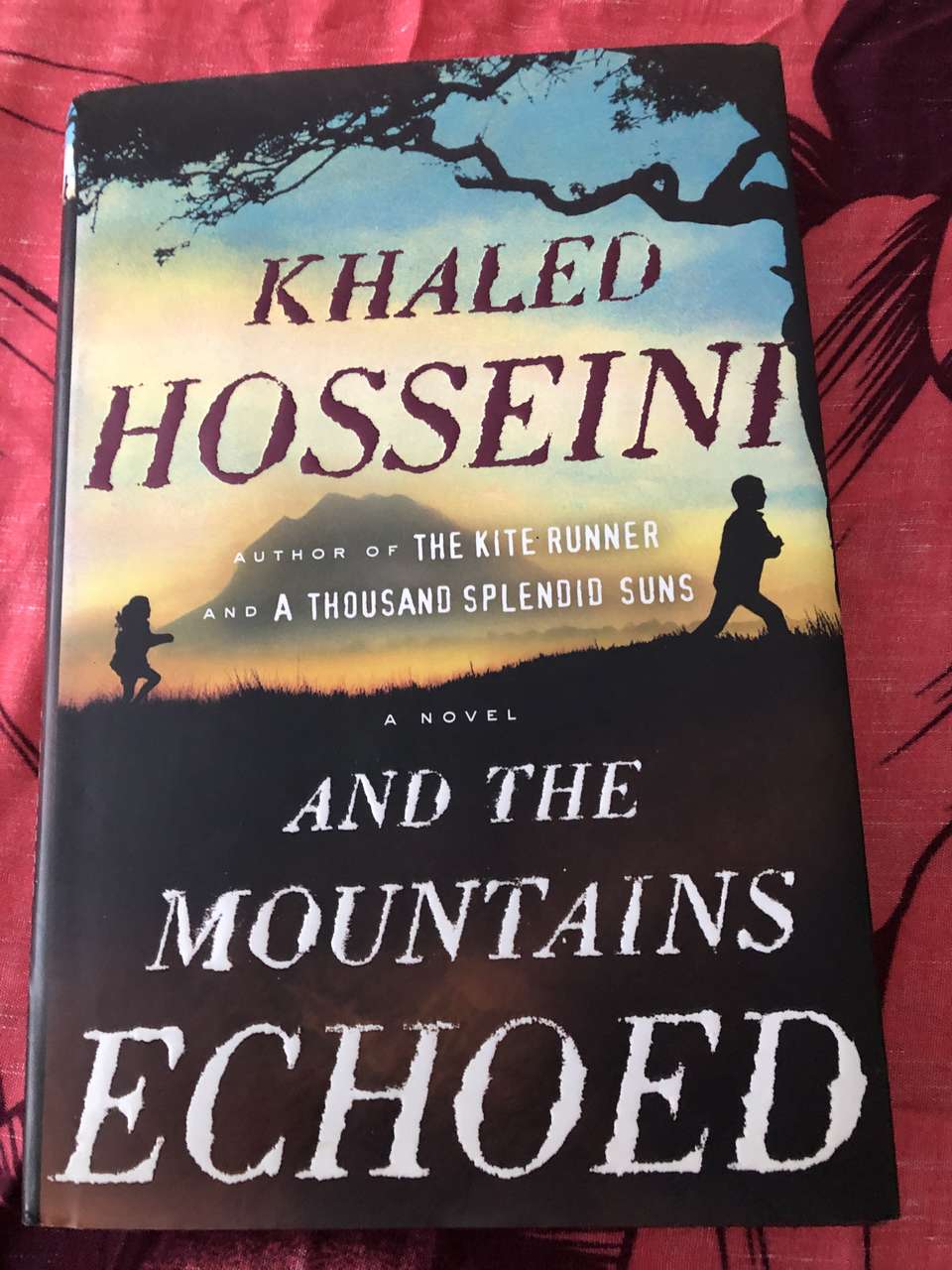 And the mountains echoed