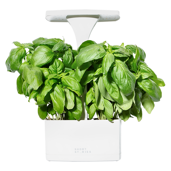 Short Stories LED Indoor Planter NEW!