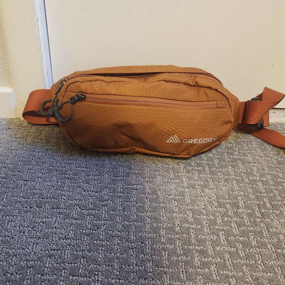 Gregory Waistpack Nano mini