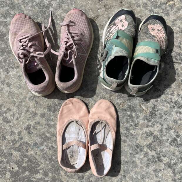 Size 2.5 and 3 Sneaks