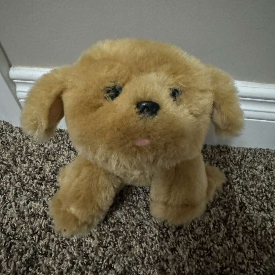 Little live Pets Snuggles Puppy