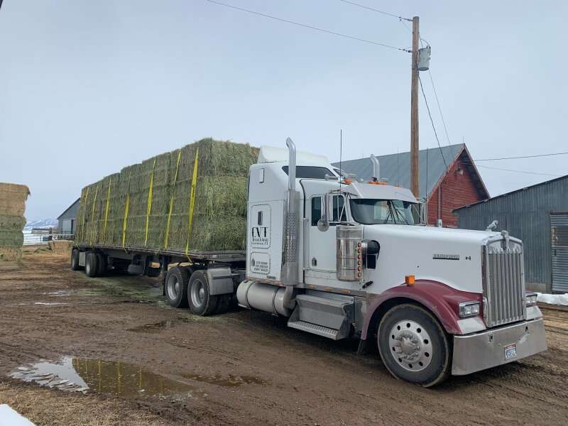 Alfalfa grass mix hay 3×4×8