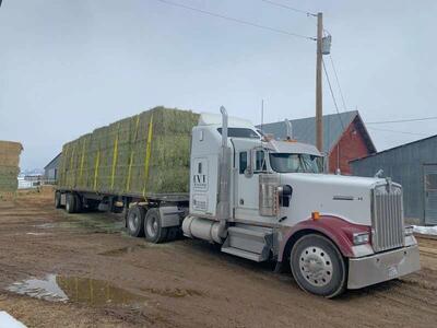 Alfalfa grass mix hay 3×4×8
