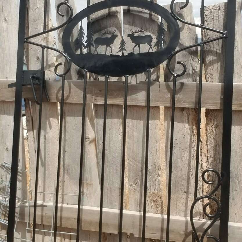 Ornamental backyard gate ,