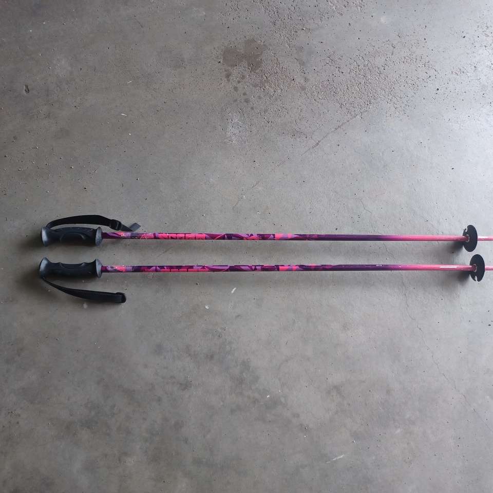 Scott Jr Ski Poles 39"