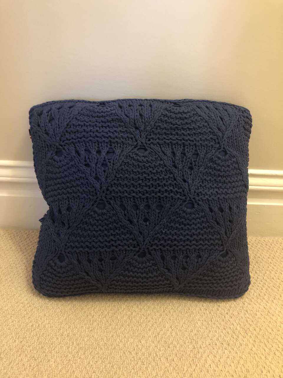 20’ Inch Throw Pillow