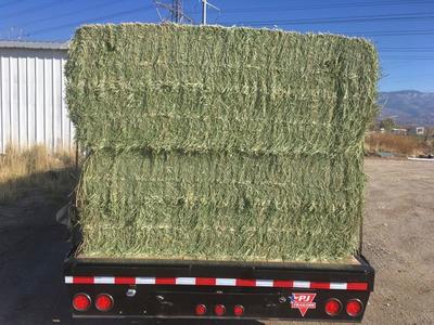 3x4x8 Alfalfa Hay