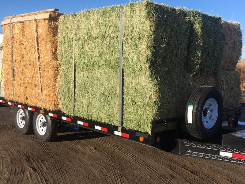 3x4x8 Alfalfa Hay