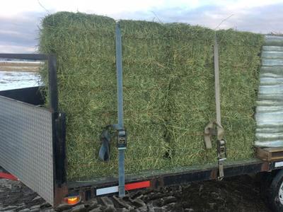 Premium Alfalfa Hay