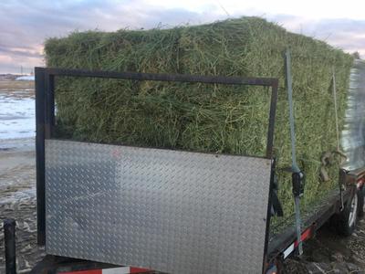 Premium Alfalfa Hay