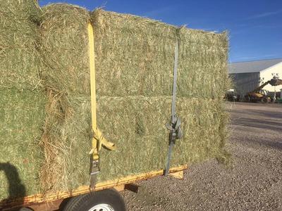 3x4x8 Fescue Grass