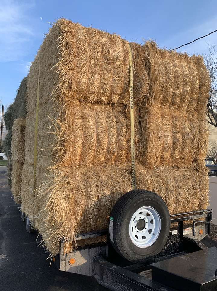 900 Lb Straw Bales