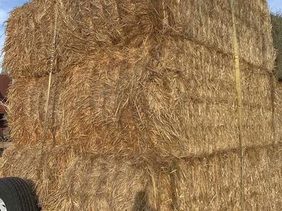 900 Lb Straw Bales