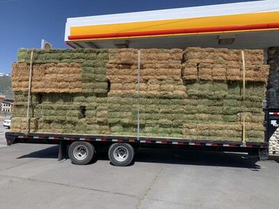 Alfalfa Hay