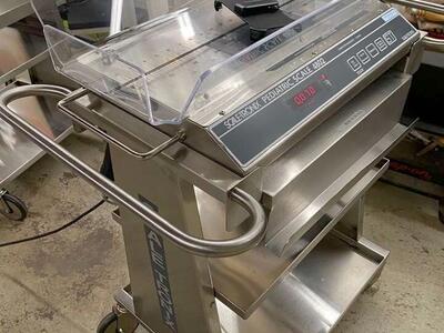 scaletronix infant scale hospital grade all stainless steel