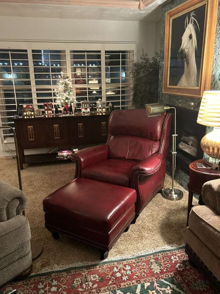 Leather Chair Furniture