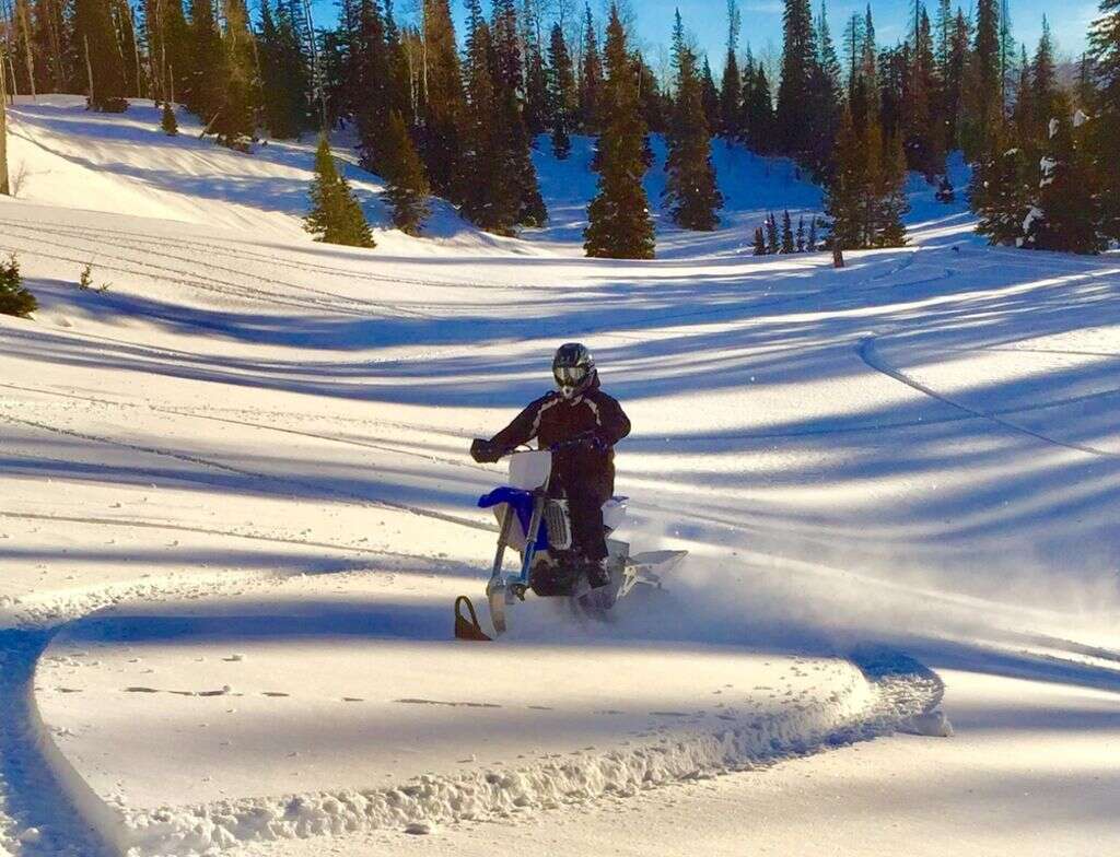 2020 Timbersled RIOT™