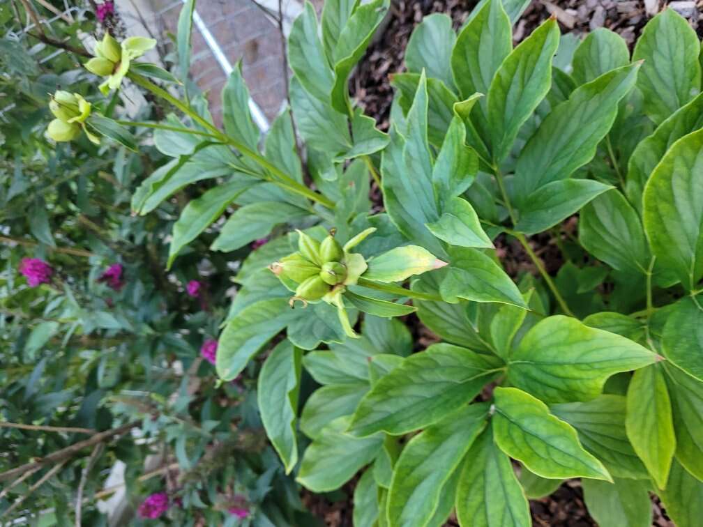 Searching for farm land in Boulder ut