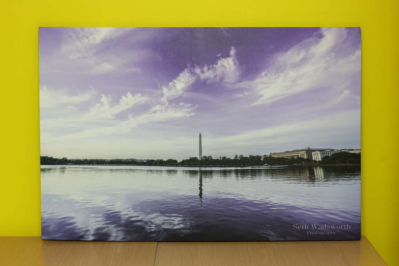 The Washington Monument in Washington DC Canvas Prints