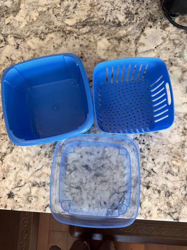 Berries Storage Box Plastic