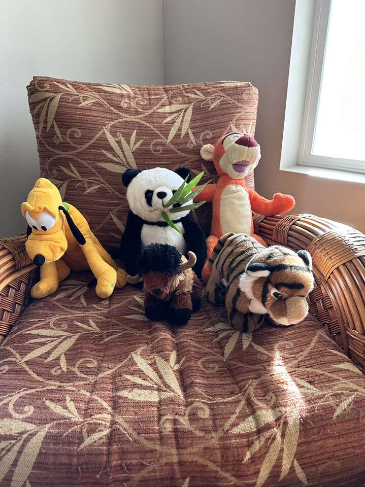 Stuffed Toys Clean $30 For All