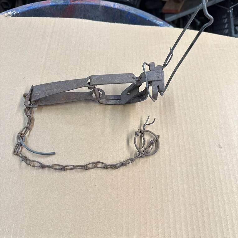 Varmint Trap