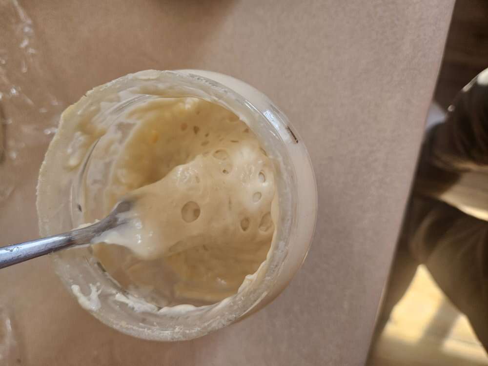 Sourdough starter
