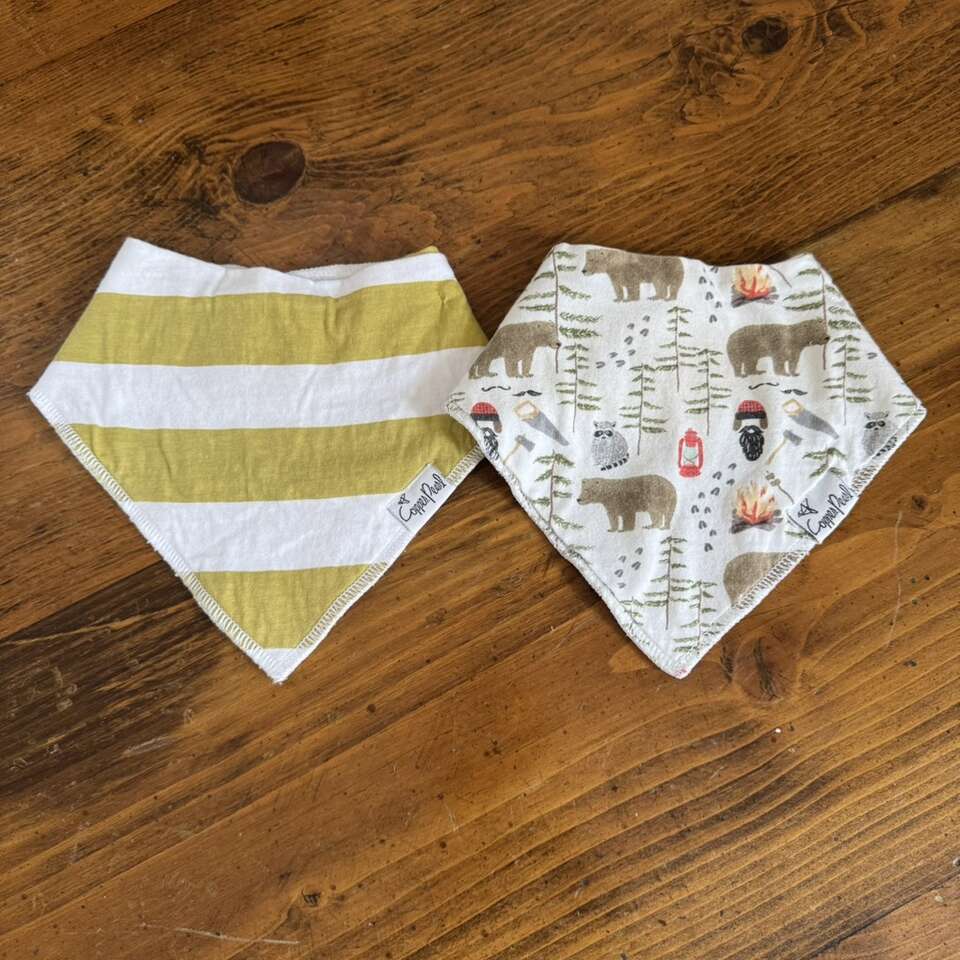Copper Pearl Baby Bibs Outdoor Bear & Striped