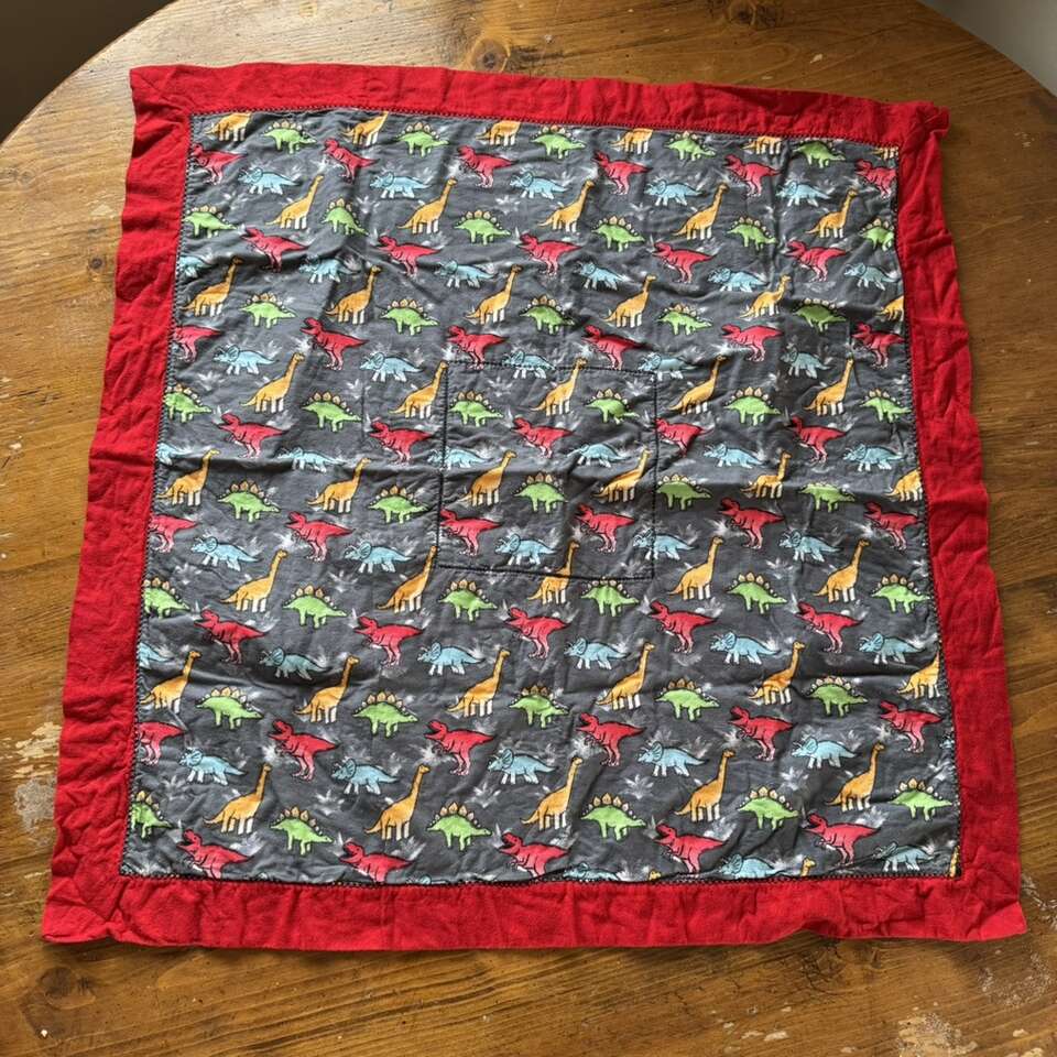 Dinosaur Print Baby Blanket Quilt 34” x 34”
