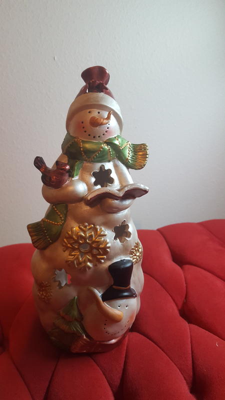 Stunning Snowman Dressed in Winter Christmas Clothing