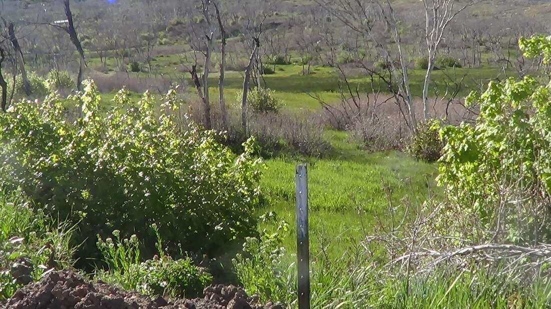 NEW YEAR'S SPECIAL,  SKI FREE,  Seller finance property INDIANOLA, Utah