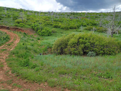 Family Mountain Getaway – Camp/Build FREE SKI PASS