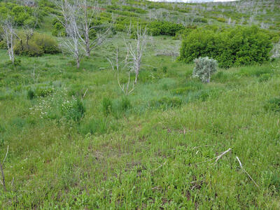 Dream Mountain Retreat, FREE ski pass*