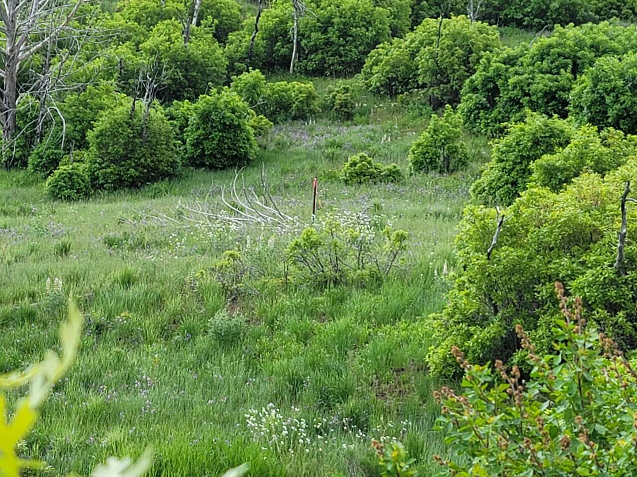 New Year's SPECIAL, Your Utah Escape Awaits, Ski FREE this year*