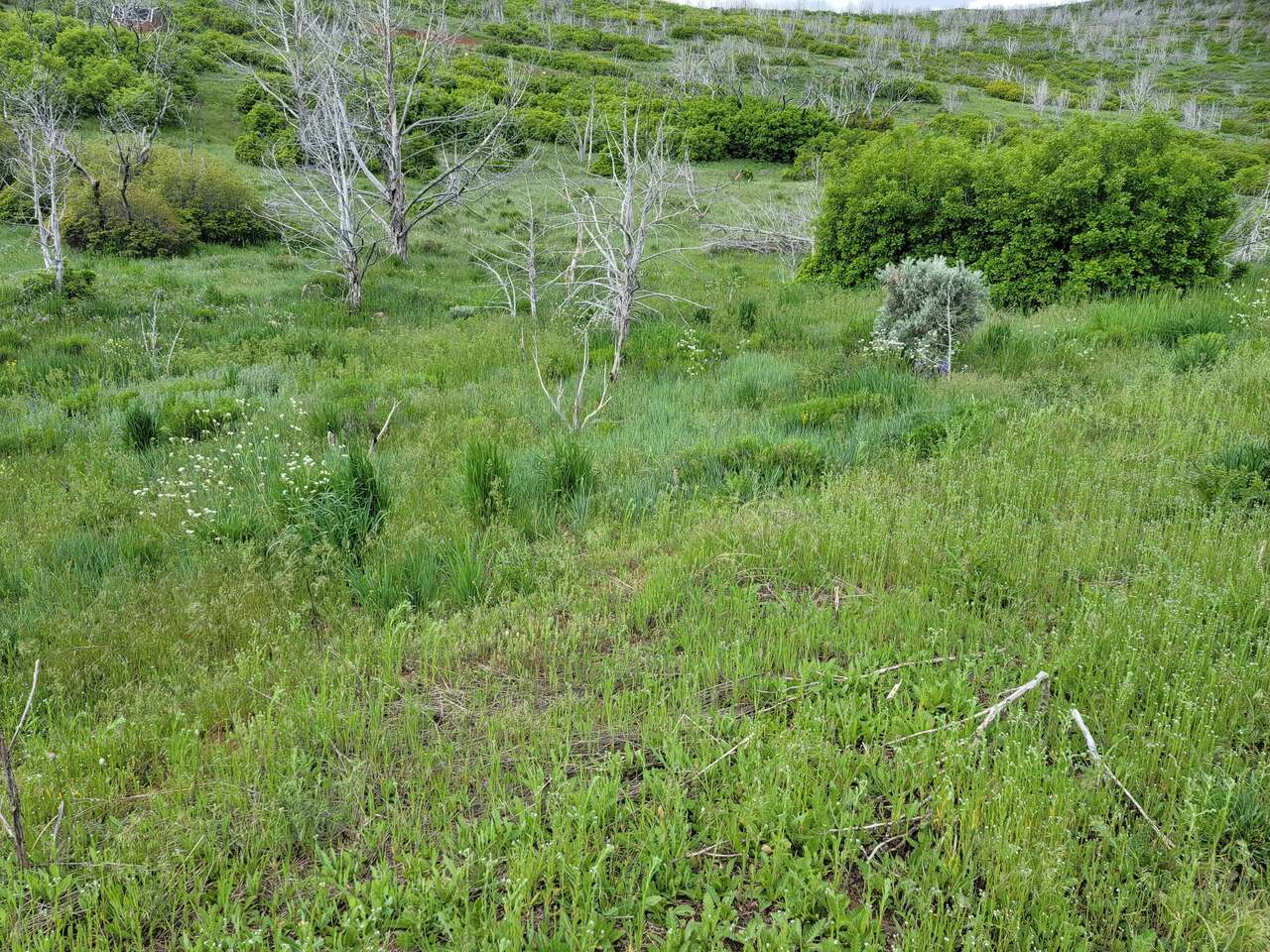 Land for Sale by Owner, Indianola, Sanpete County, Utah