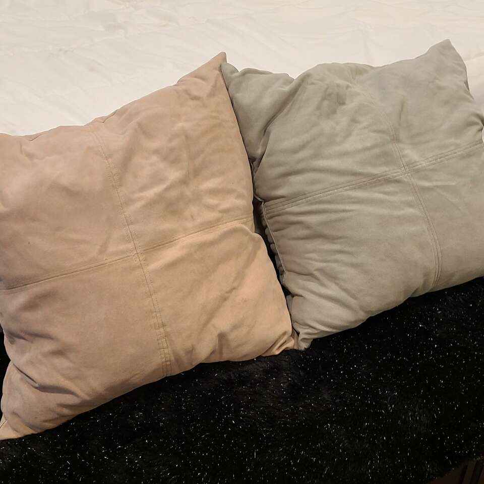 Sage Green and Beige Throw Pillows