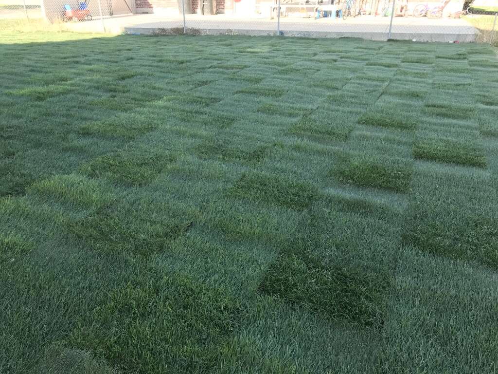 FREE Sod INSTALL & Delivery DEAL - As LOW As .59