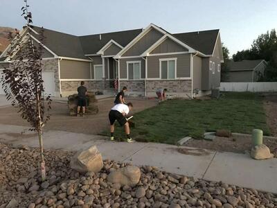 FREE Sod INSTALL Deal - Pure Kentucky Bluegrass