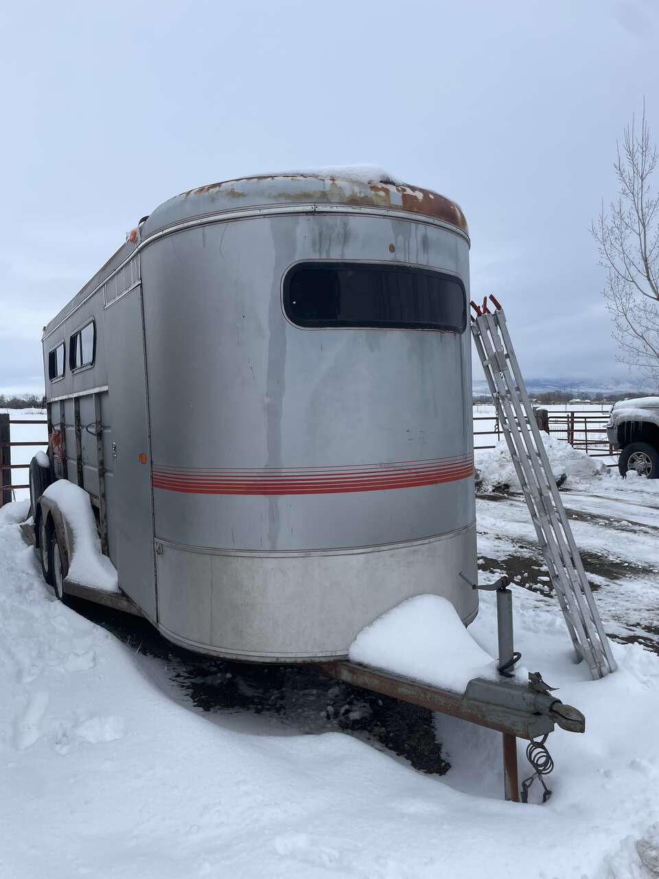 Horse trailer Livestock