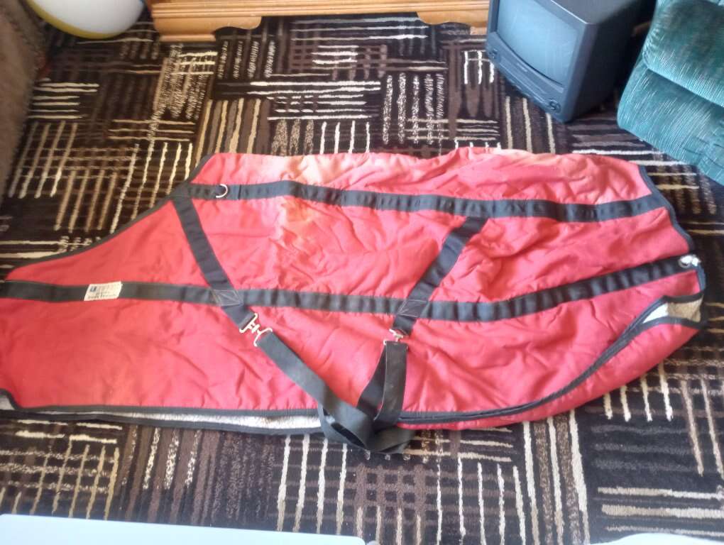3 horse blankets for sale