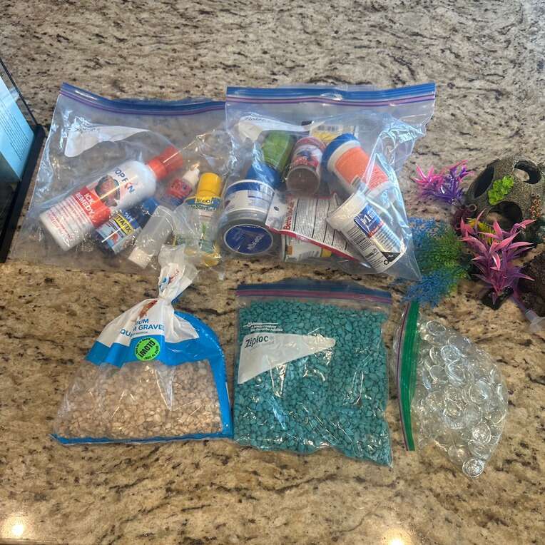 Random Fish Aquarium Stuff