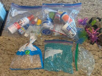 Random Fish Aquarium Stuff