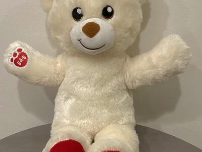 Build A Bear National Teddy Day Plush