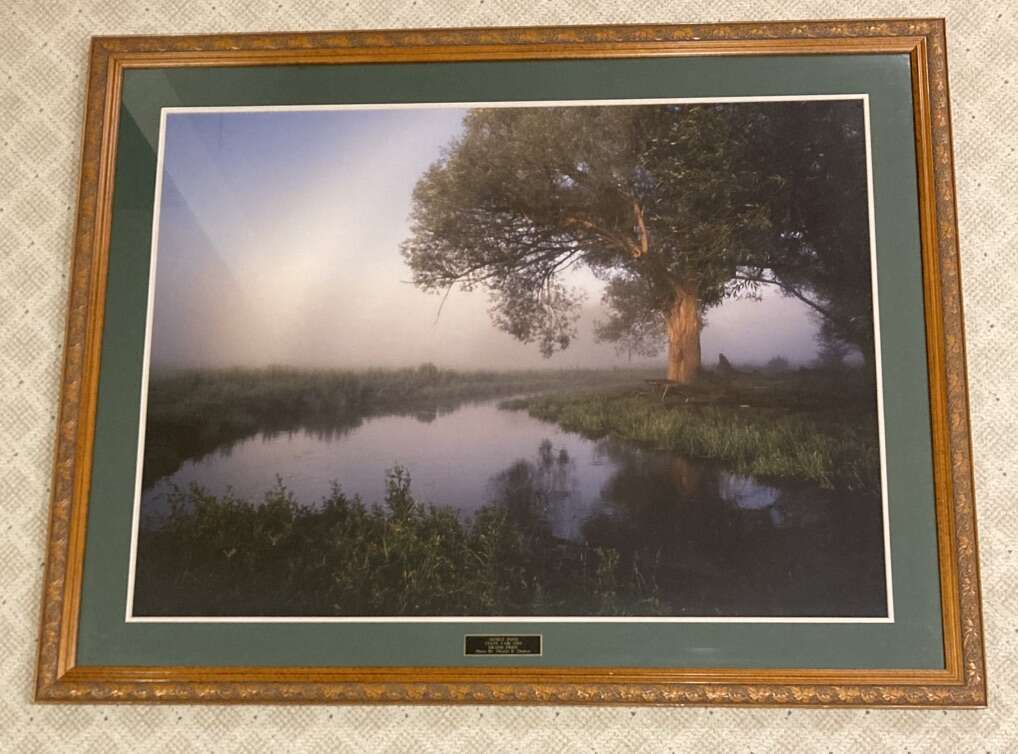 HUGE Photography Landscape Framed Wood Carved