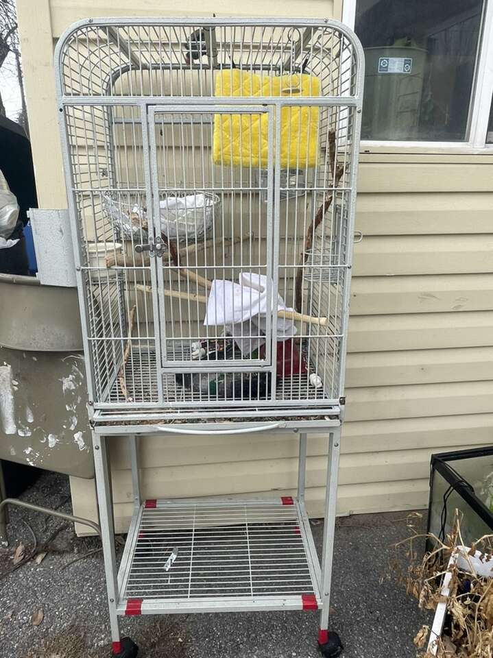 Free Bird Or Critter Cage FREE
