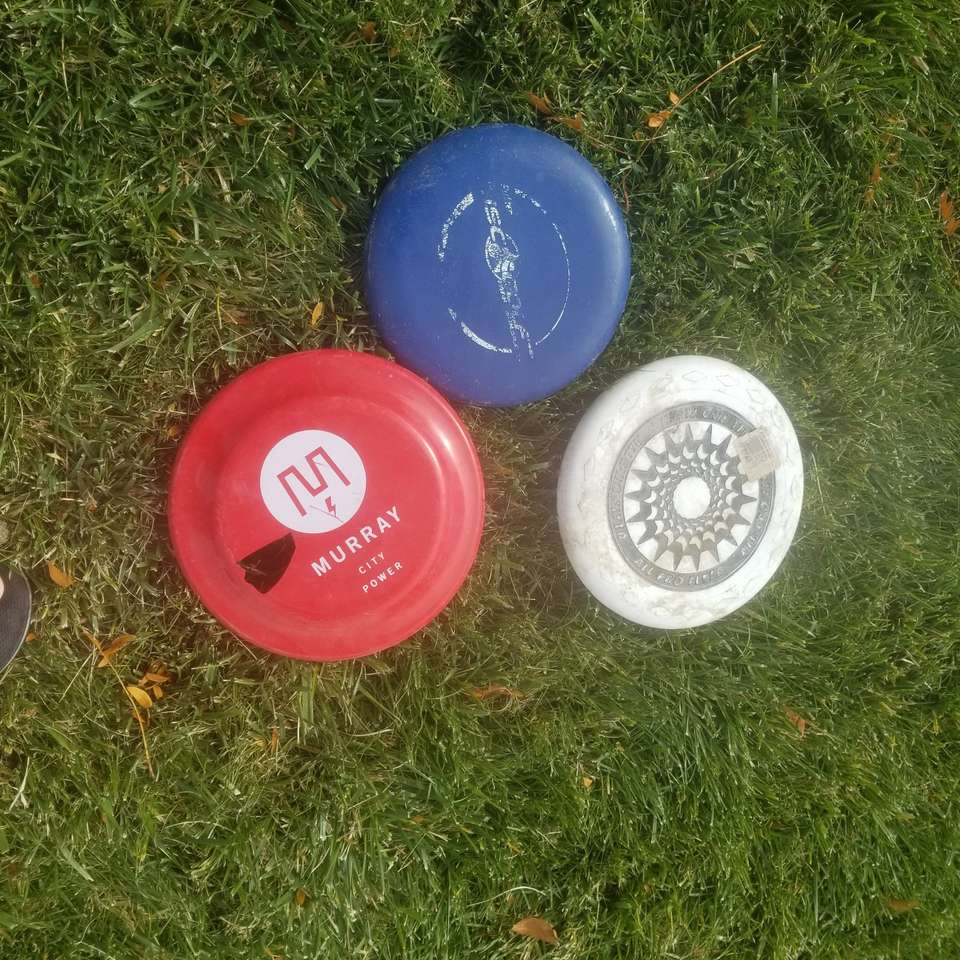 Frisbees