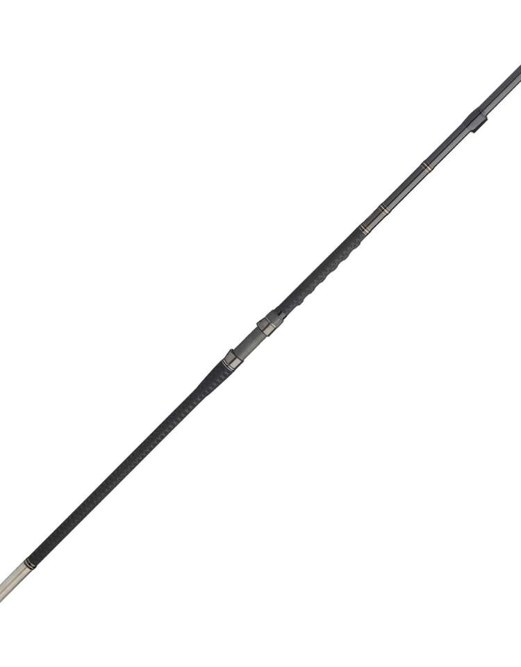 Ocean Fishing Rod 13ft- New